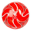Liverpool FC Fodbold - str. 5 - Lukaki.dk
