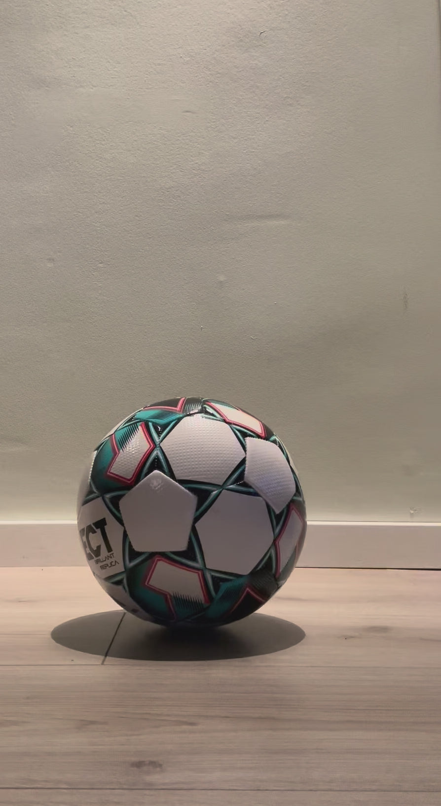Ballpumpe mit Zweiwegefunktion und Sauger – Kompakte Luftpumpe 23 cm