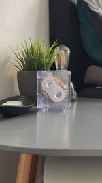 Uhrenaufbewahrungsbox - durchsichtiger Kunststoff